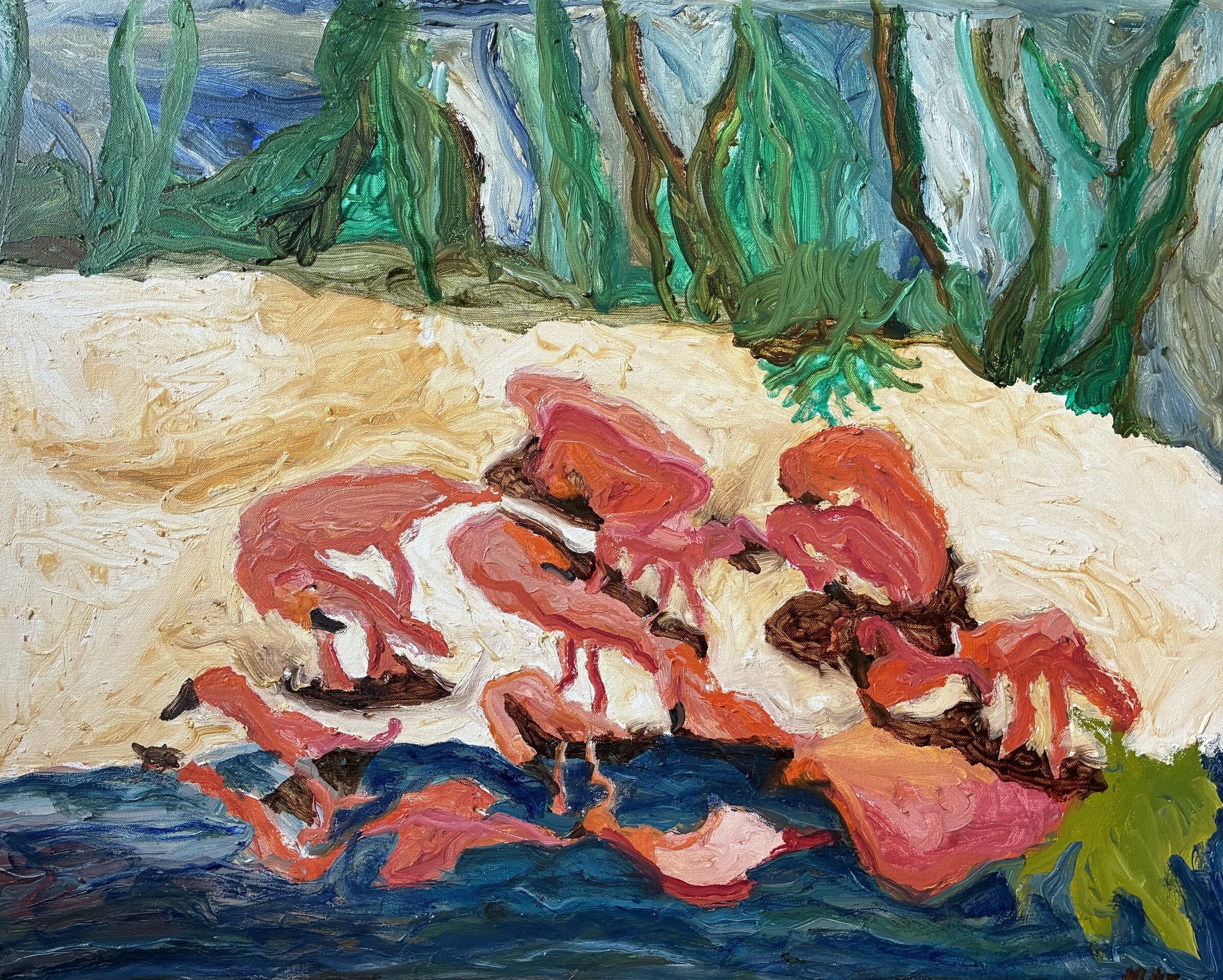 Flamingos