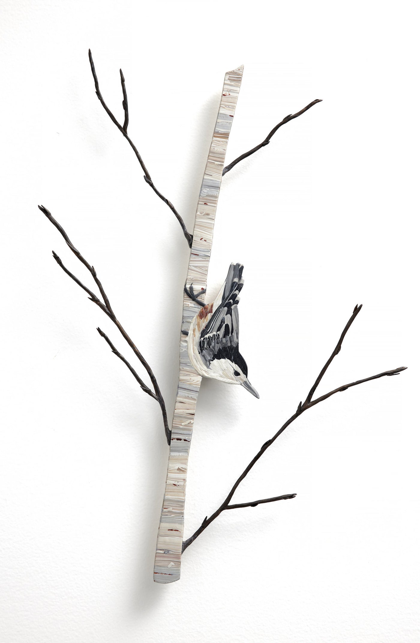 Nuthatch