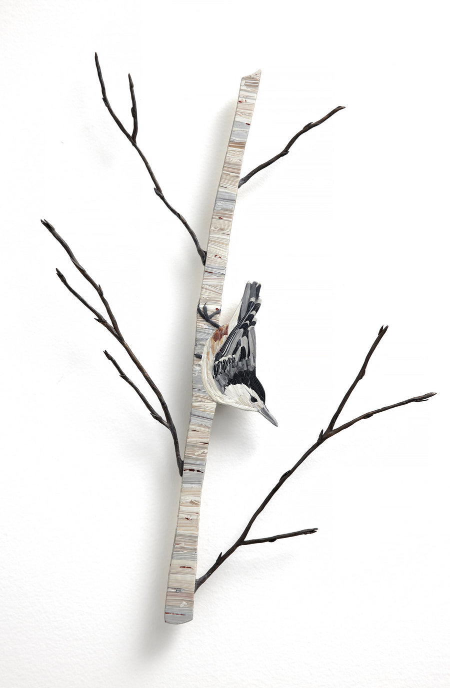 Nuthatch