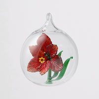 Crimson Amaryllis