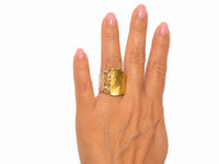 Garden Gate Ring ll