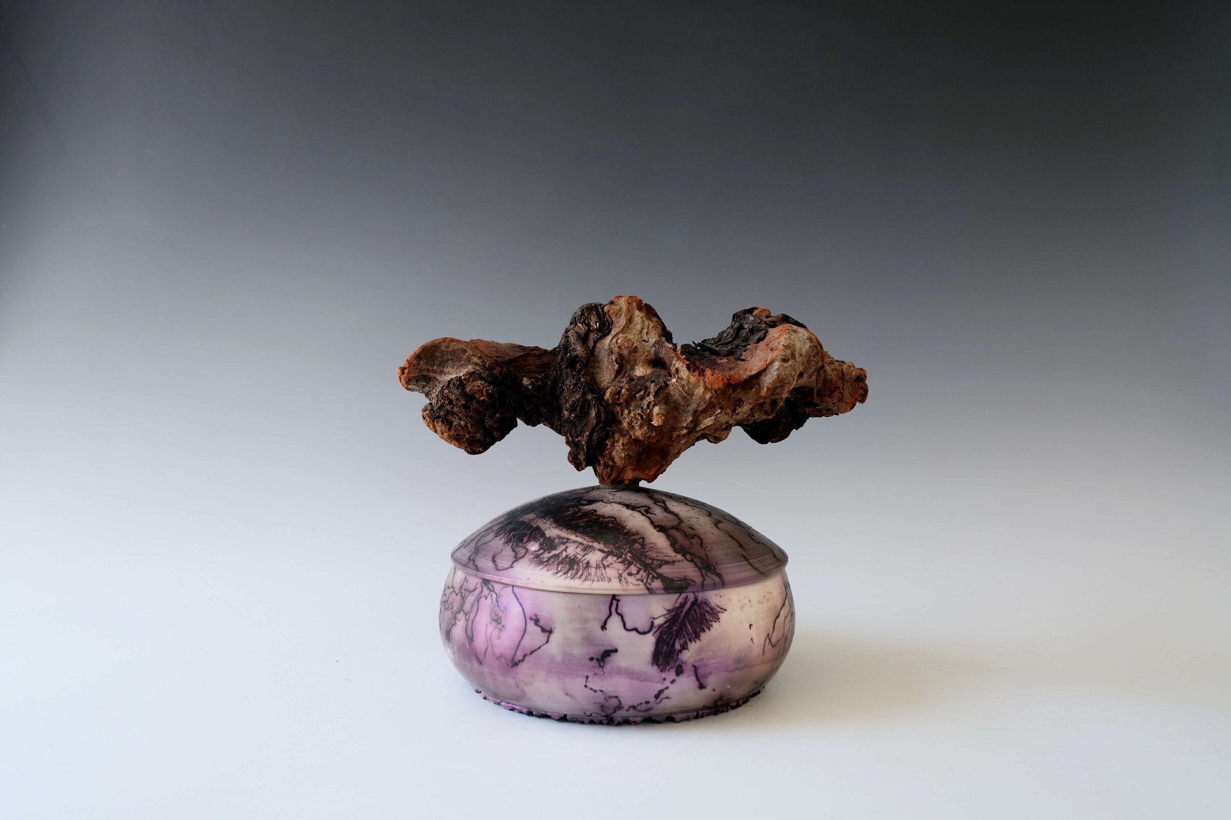 Nightroot Find Magic Forest Porcelain Vessel