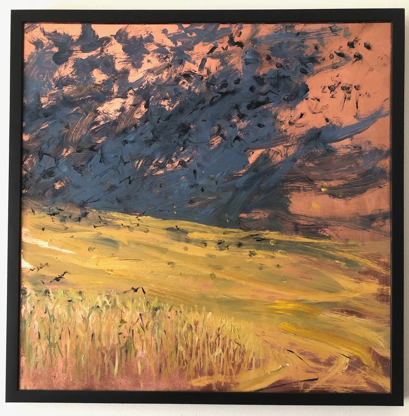 A Murder of Crows Ascending a Cornfield