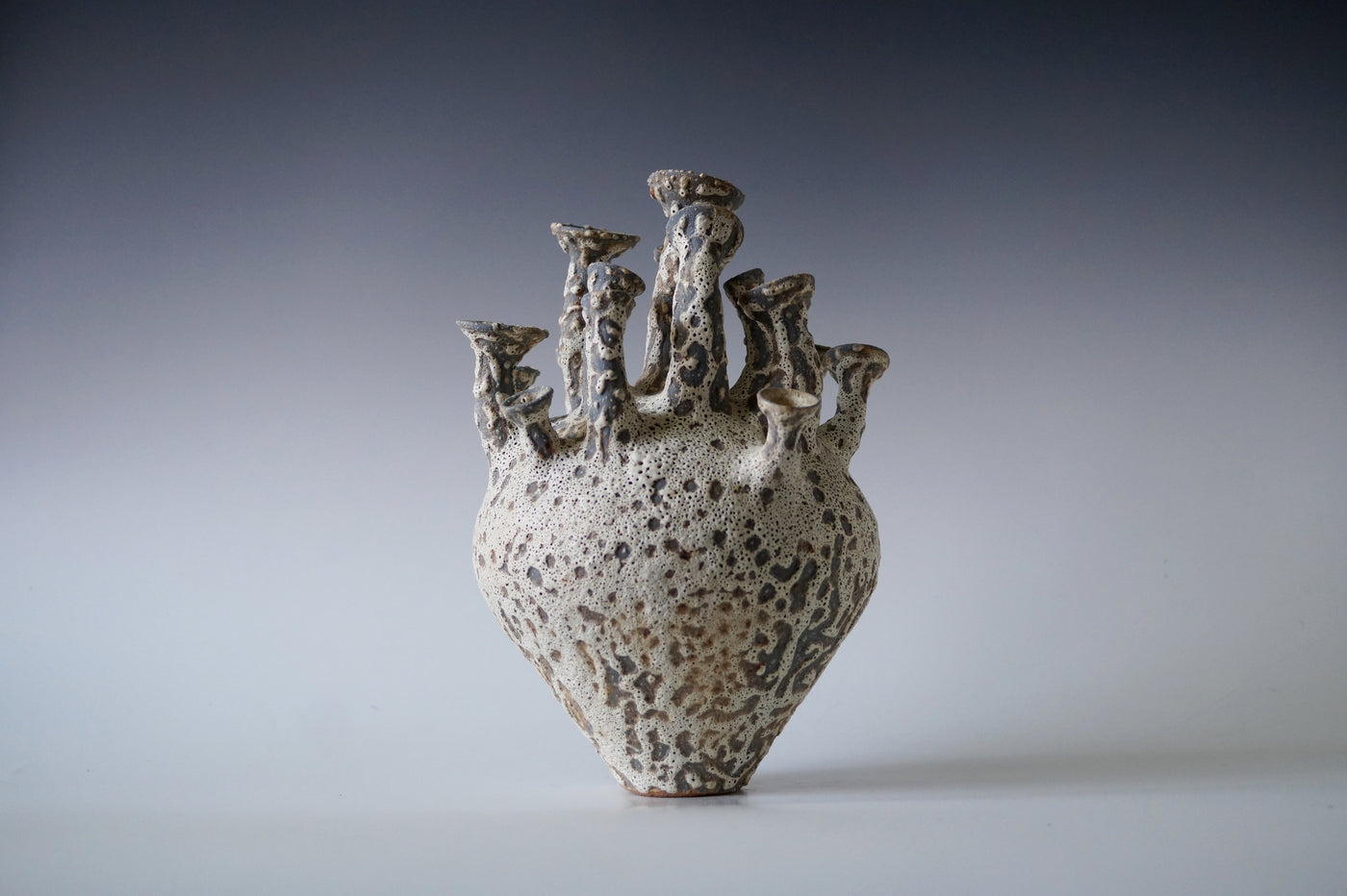 Tide Cluster Black Sea Porcelain Vessel