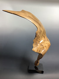 Natural Beauty-Olive Ribbon