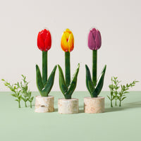 Closed Tulip Patch