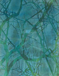 Lagoon #4