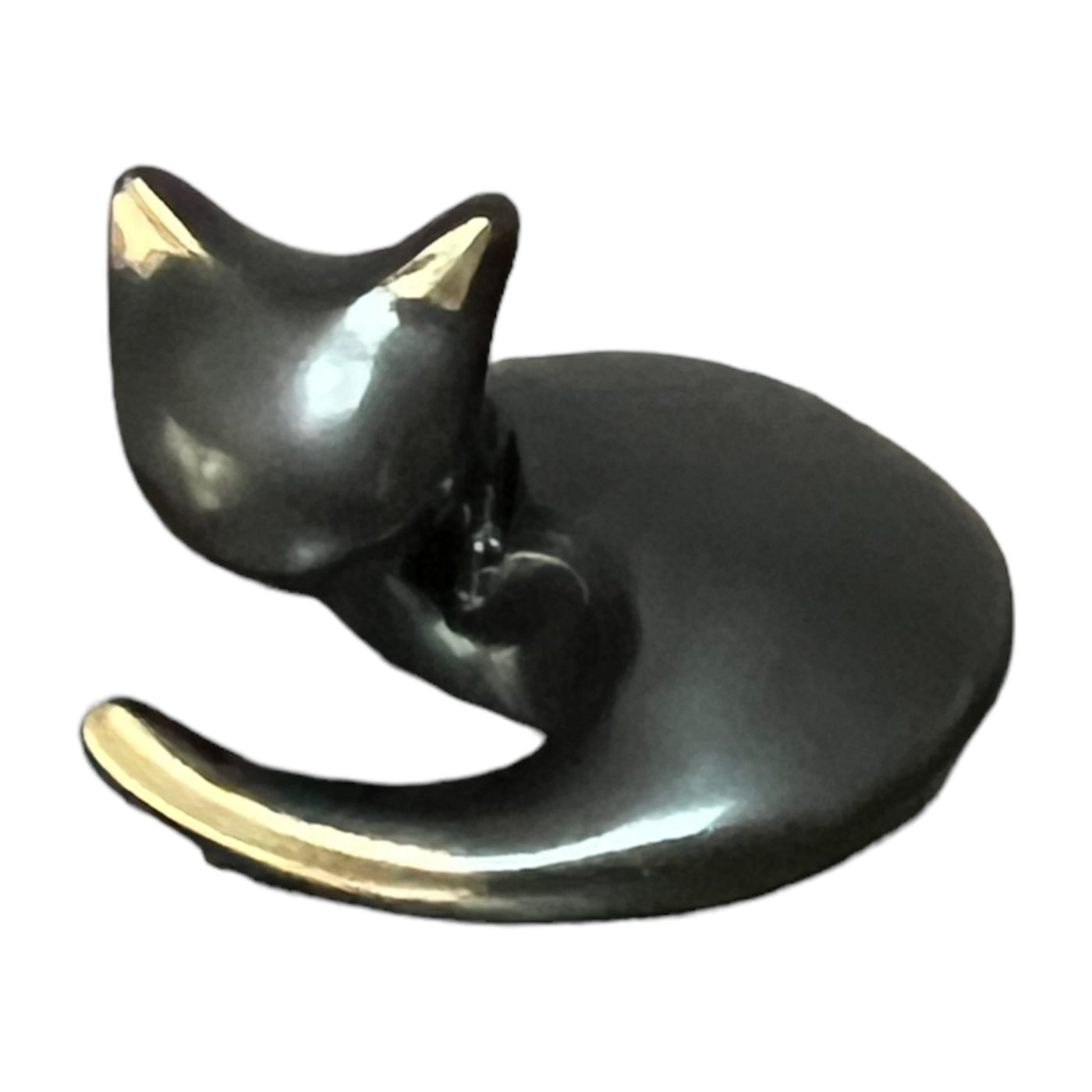 Curled Up Cat