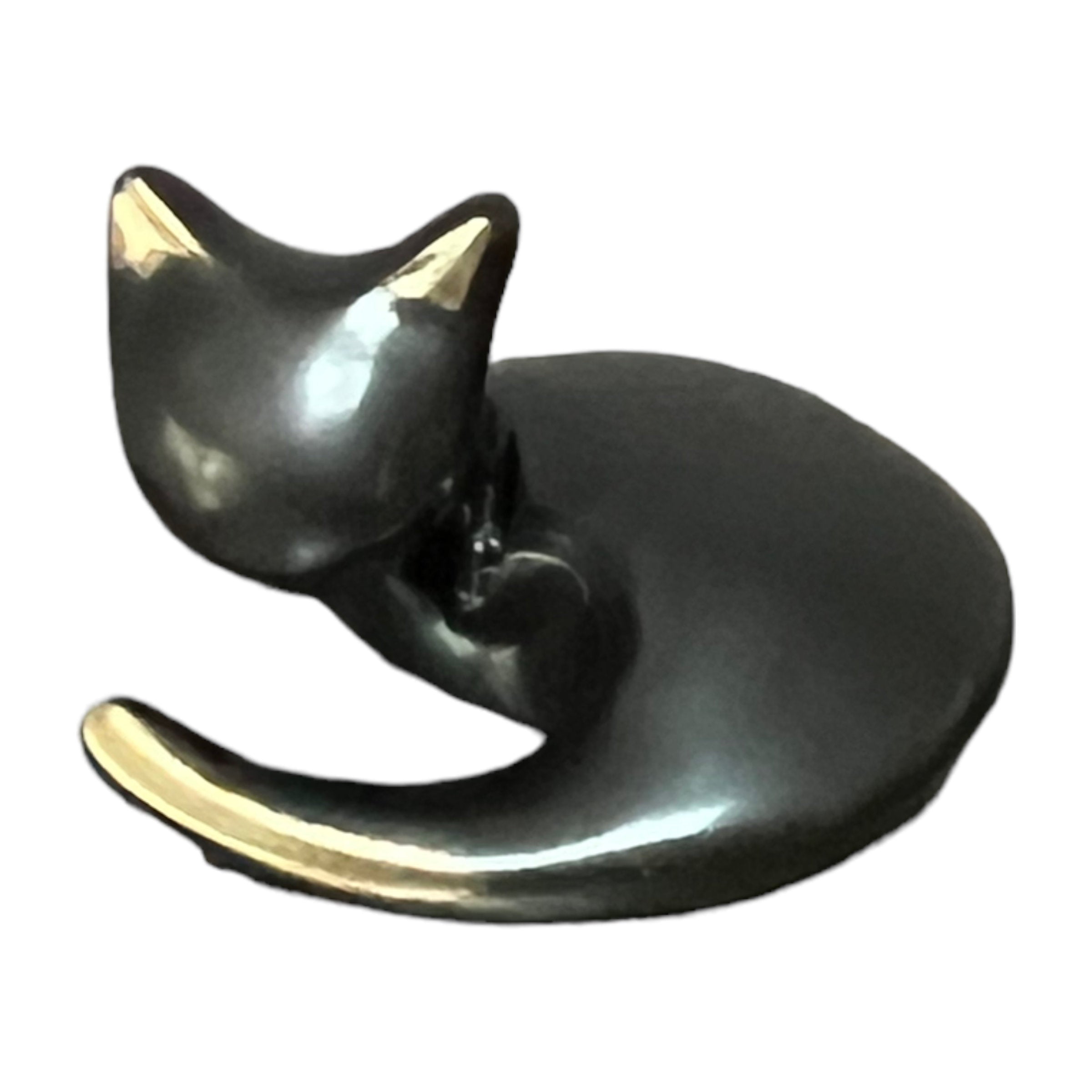 Curled Up Cat
