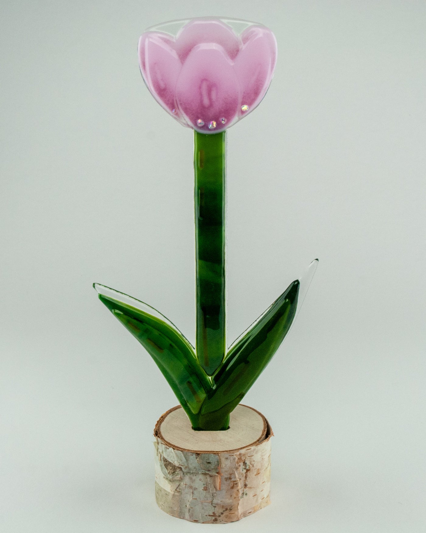 Baby Pink Open Tulip