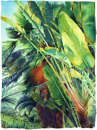Cayman Palm