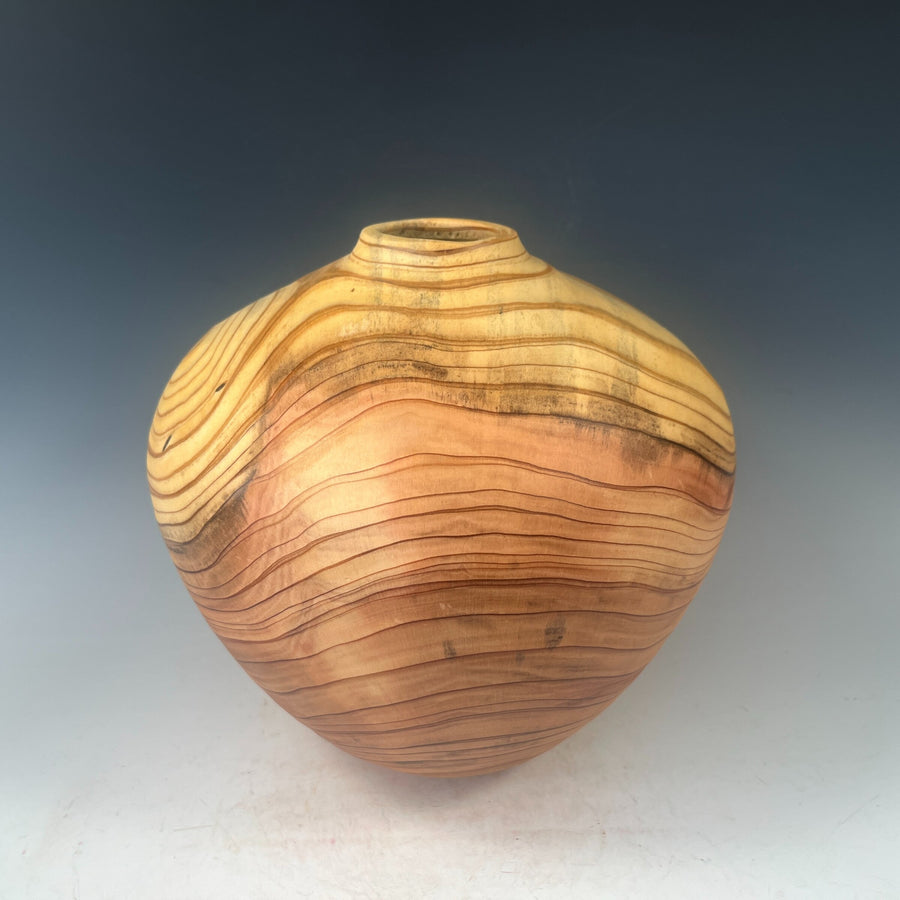 Dawn Redwood Hollow Form Vessel III