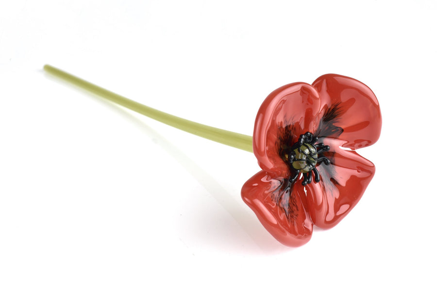 Oriental Poppy Blooms