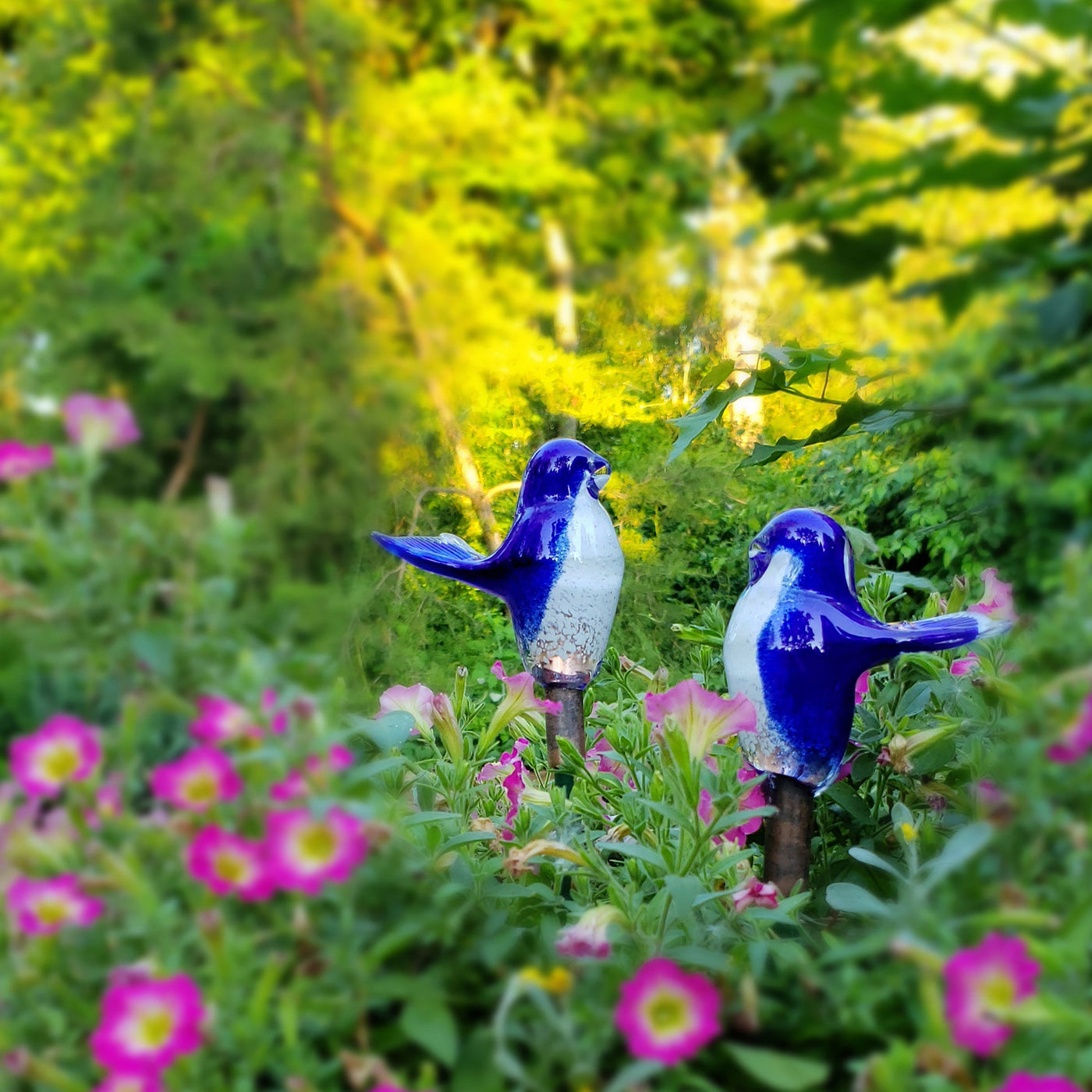 The Joyous Bluebird 