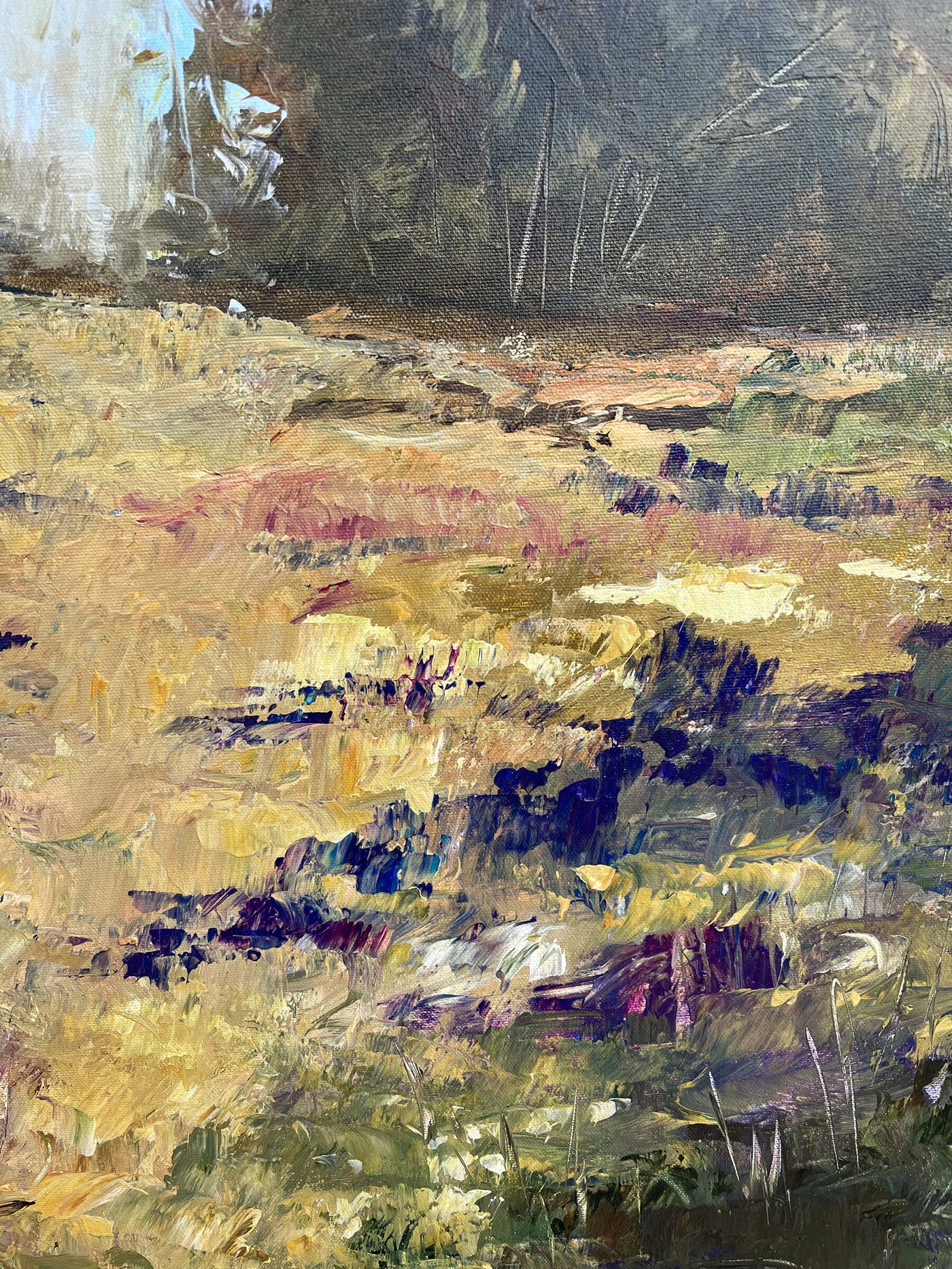 Hill Country