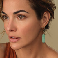 Land & Sky Agate, Black Diamond, & Opalized Wood Earrings