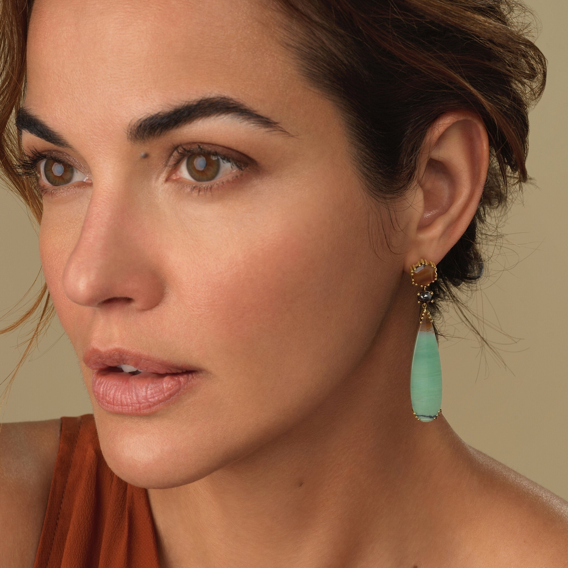 Land & Sky Agate, Black Diamond, & Opalized Wood Earrings