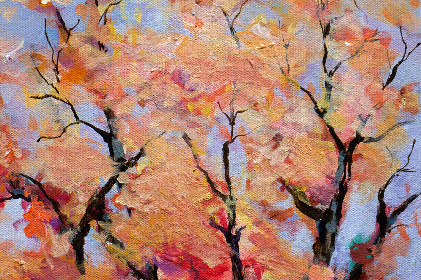 A Moment in Autumn