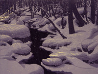 Winter Blanket