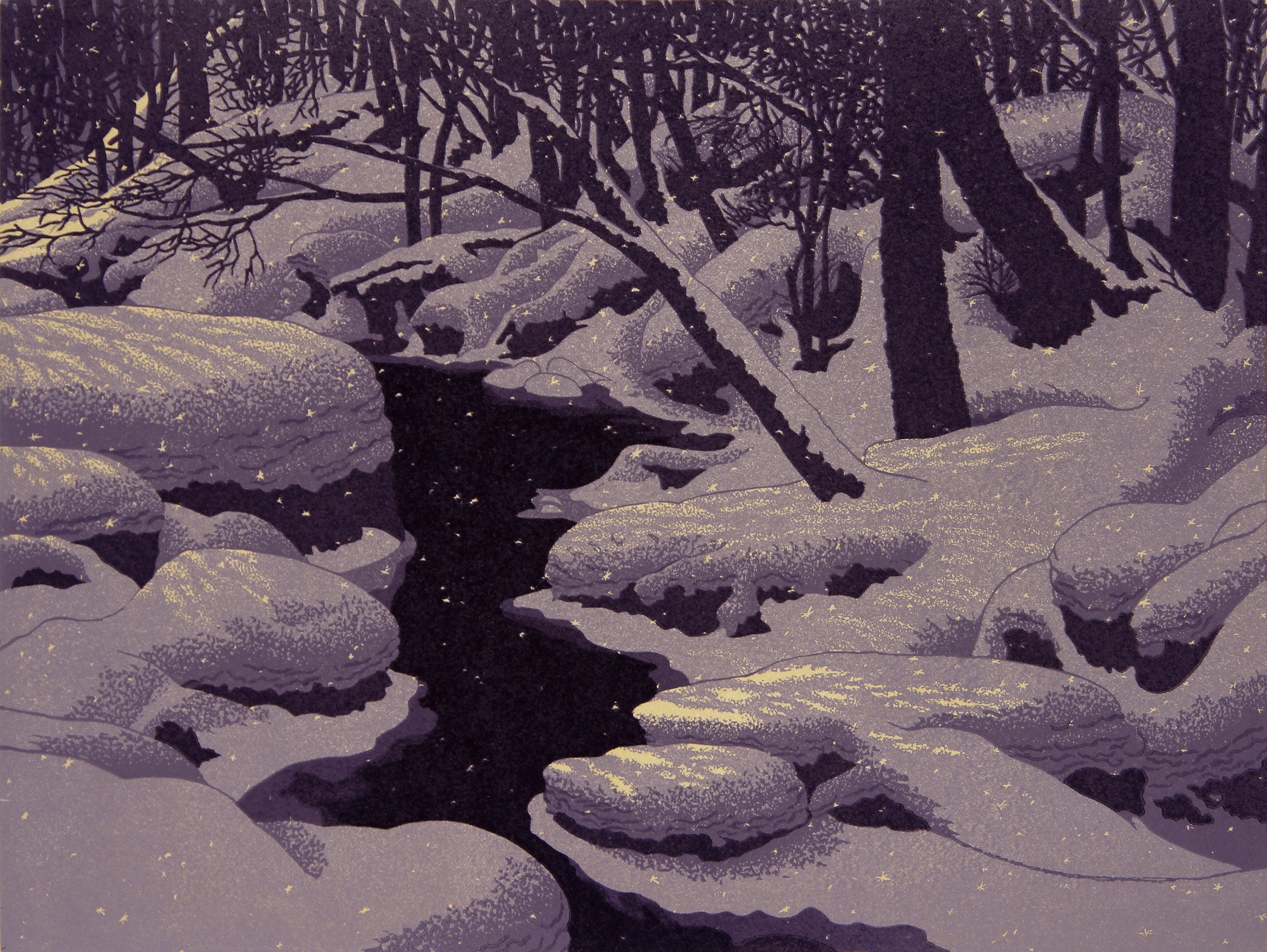 Winter Blanket