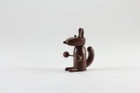 Brown Squirrel
