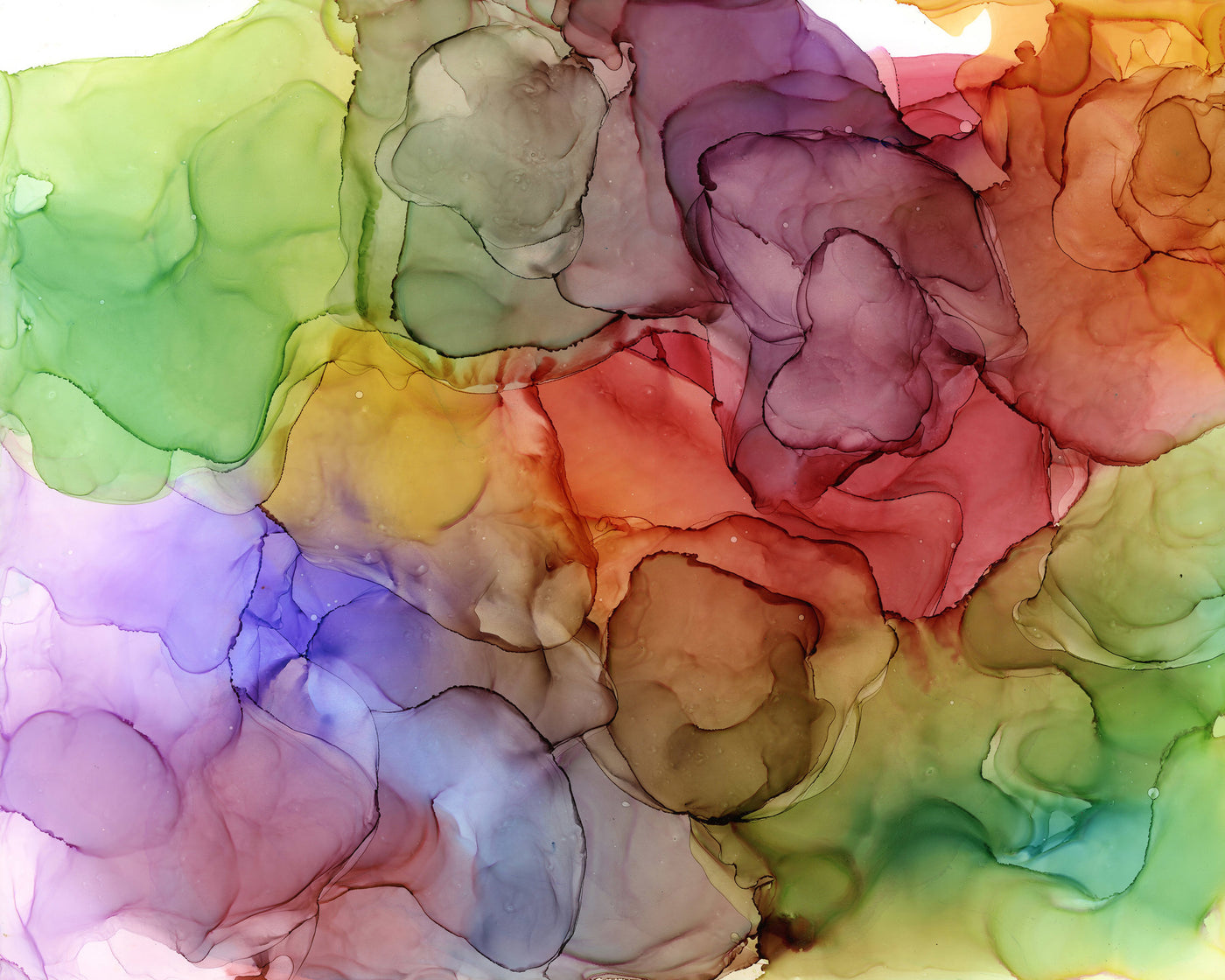 Surrounded By Abundance