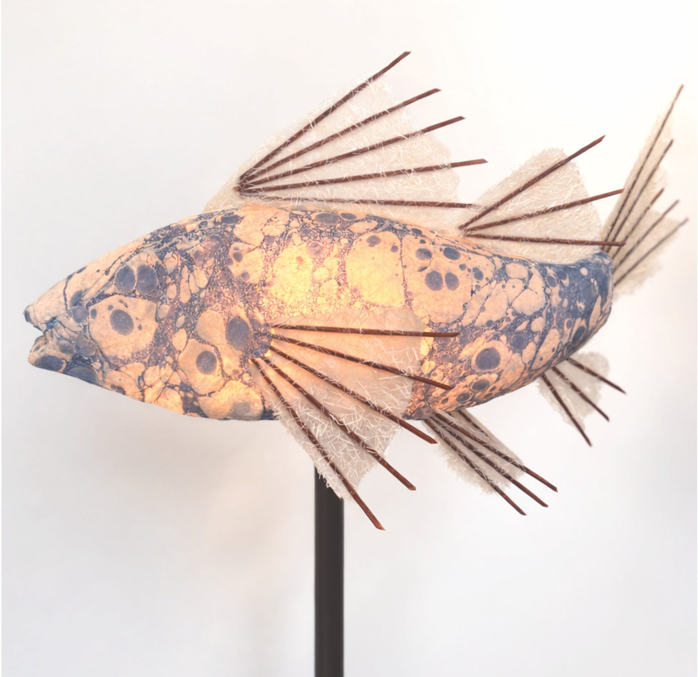 Aqua Koi Lamp