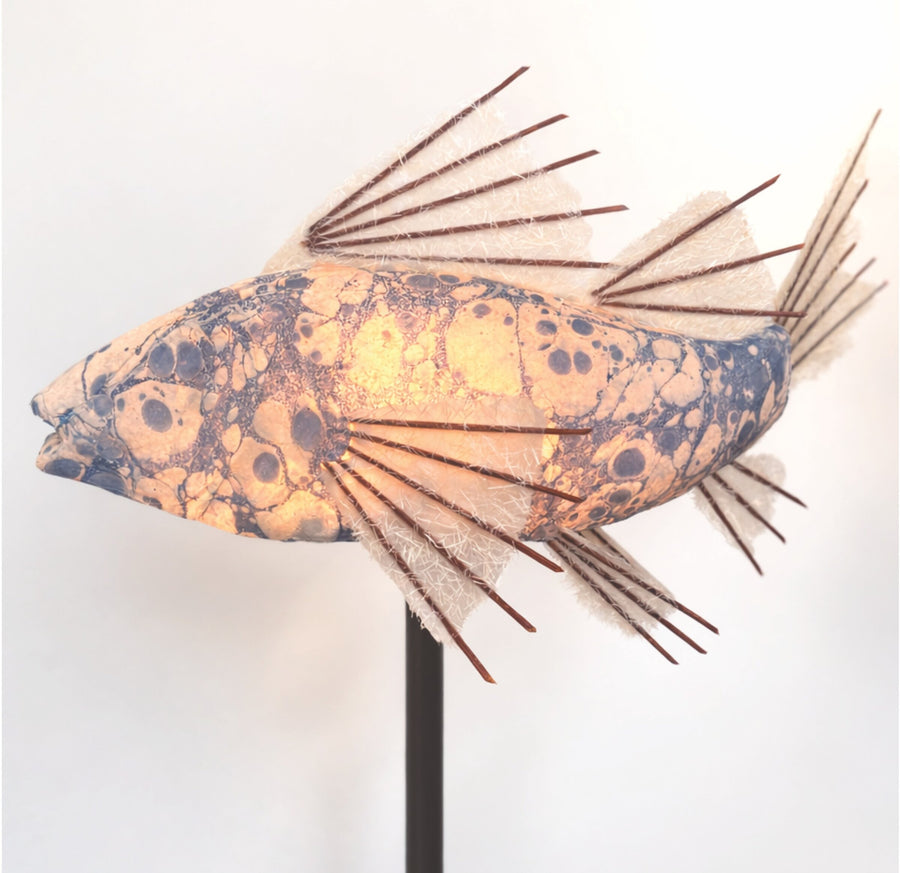 Aqua Koi Lamp