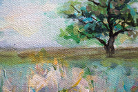 Earth's Tapestry