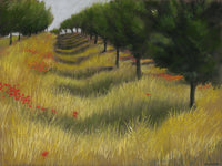 Plum Orchard, St. Aubin