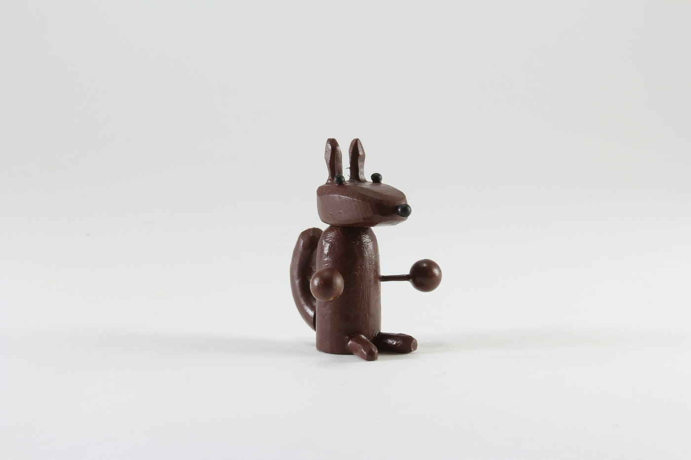 Brown Squirrel