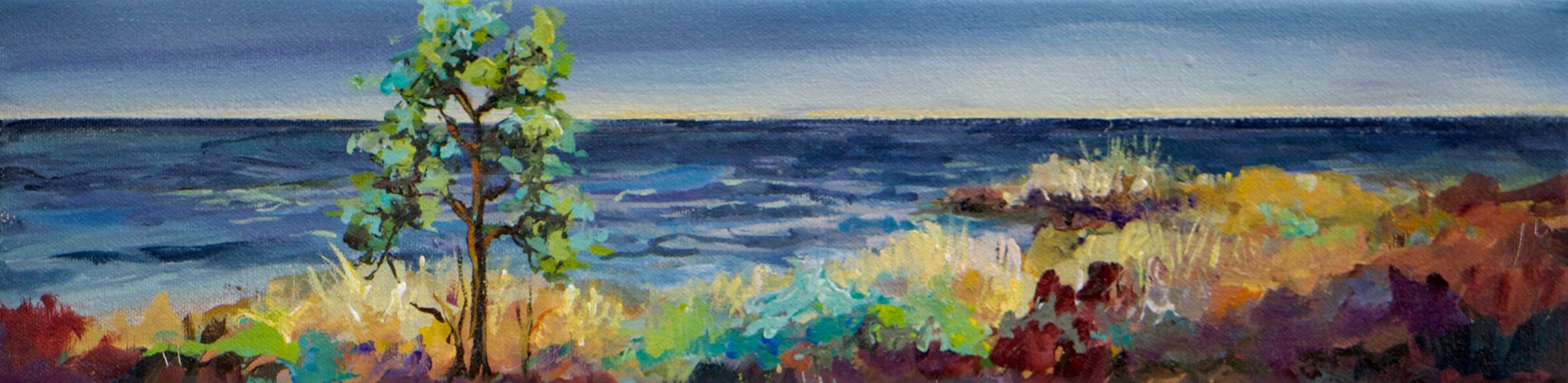 Coastal Tranquility III