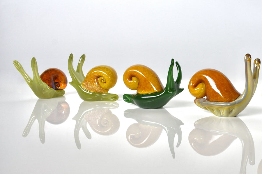 Transparent Shell, Light Green, Dark Green, Rainbow Tan