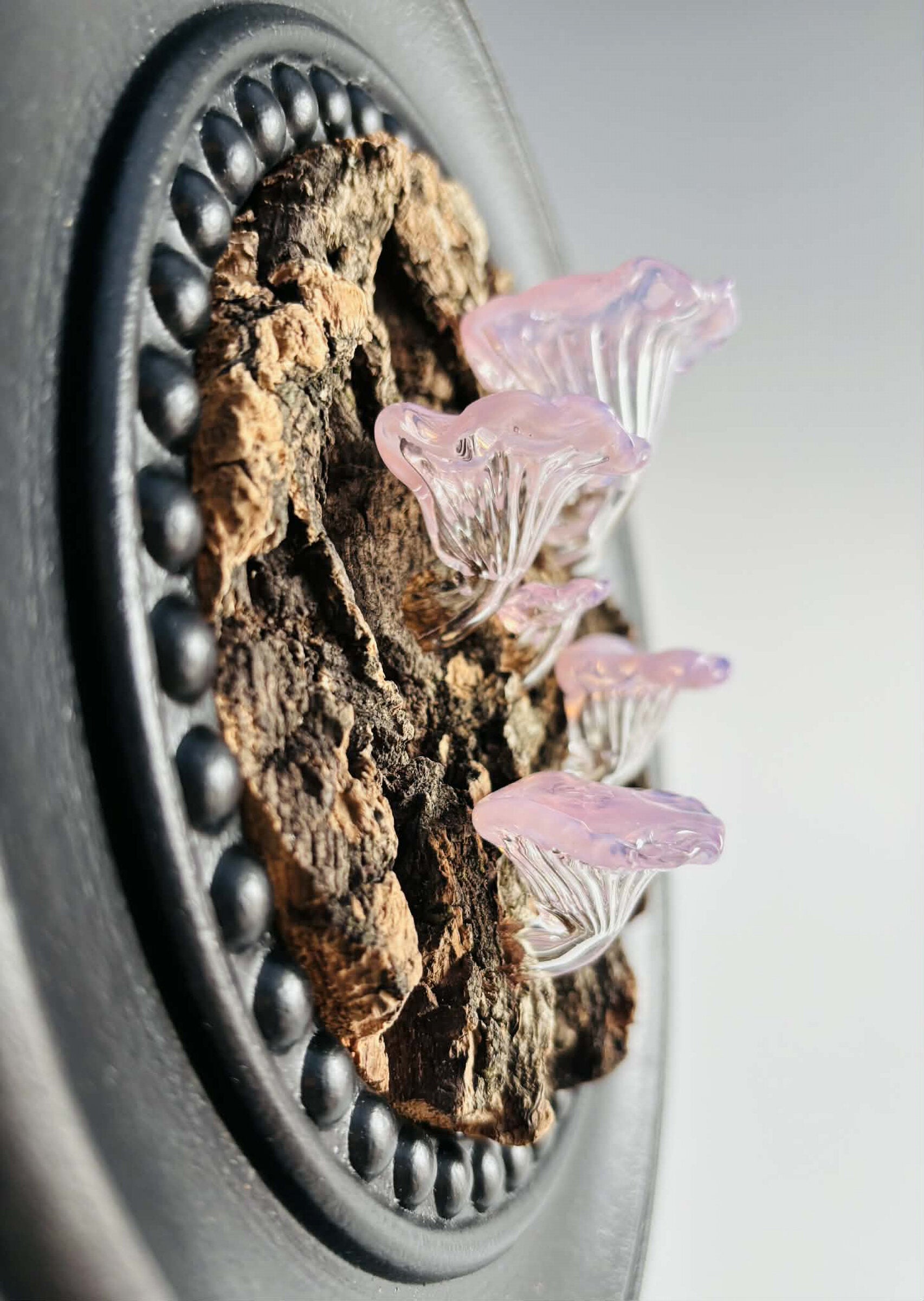 Bark and Bloom