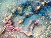 Terra & Tide Triptych