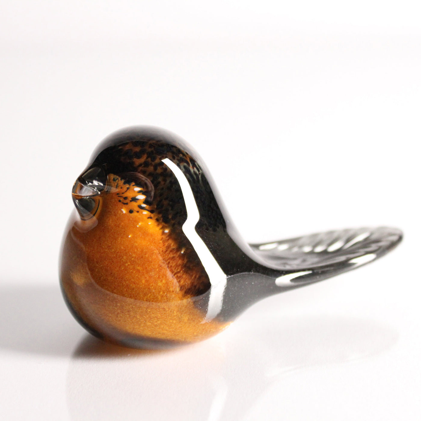 Birds of Beauty The Inspiring Robin