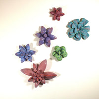 Vivid Spring Wallflowers