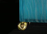 Nautilus Box with Bronze
