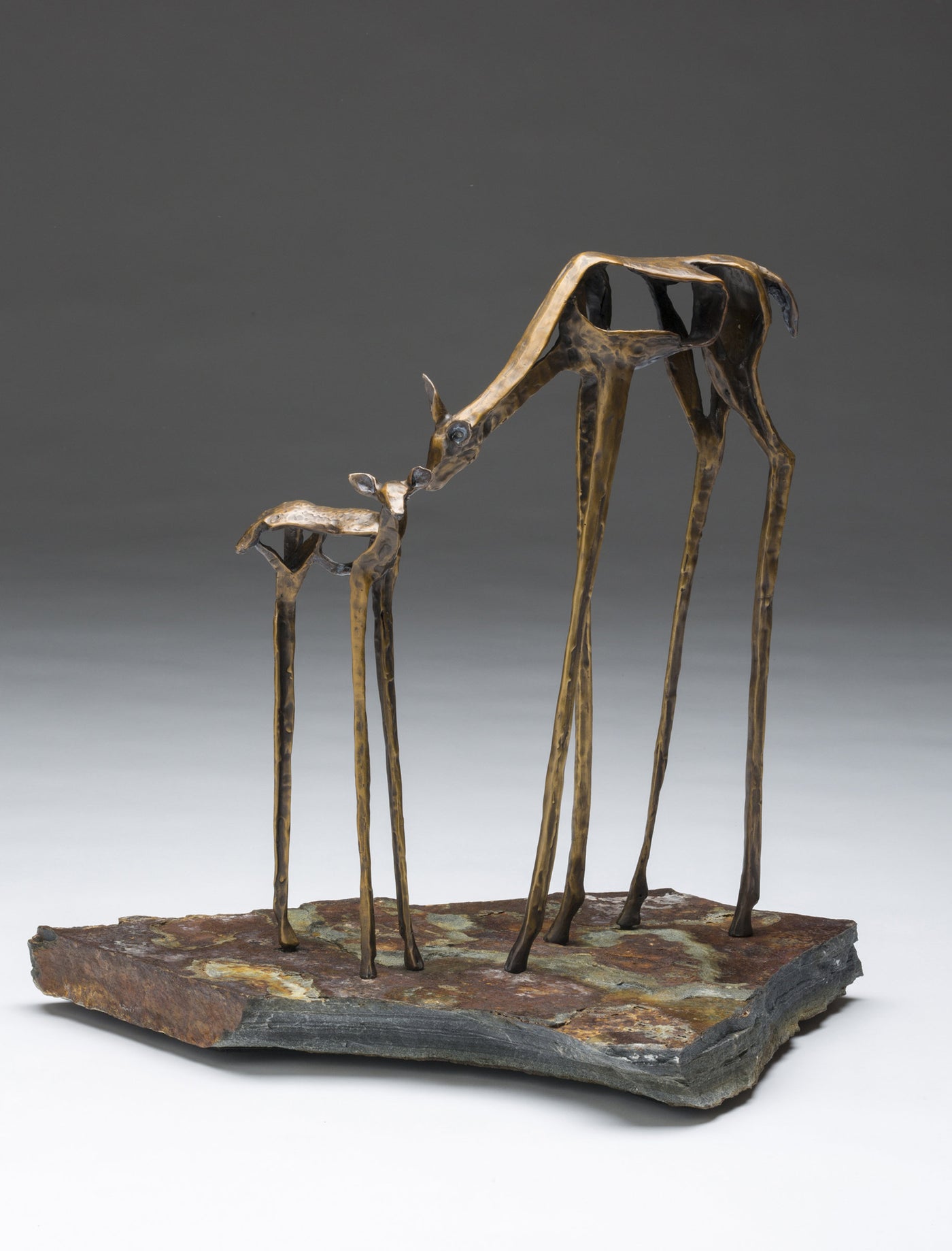 Doe and Fawn