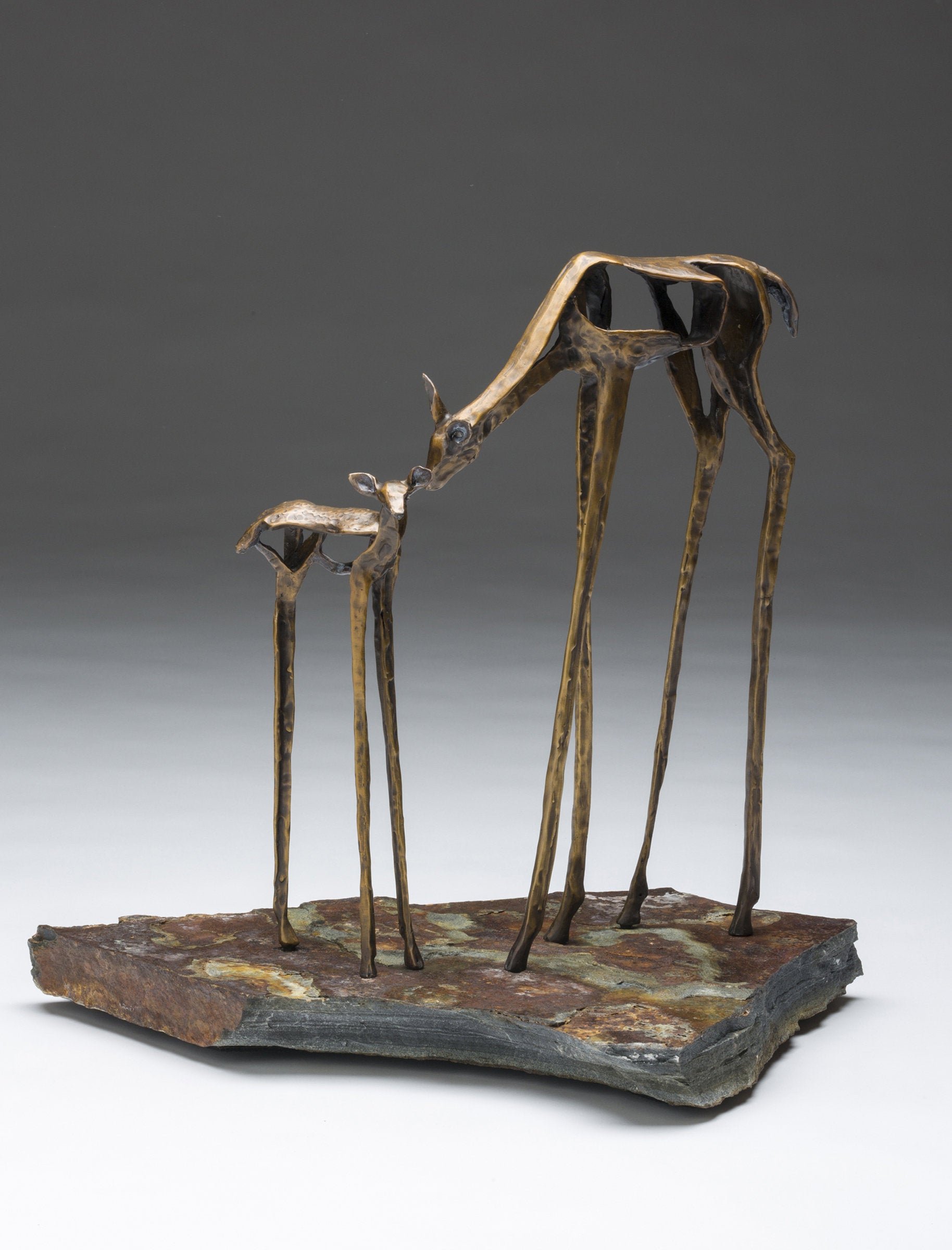 Doe and Fawn