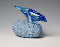 Blue Starling on River Stone