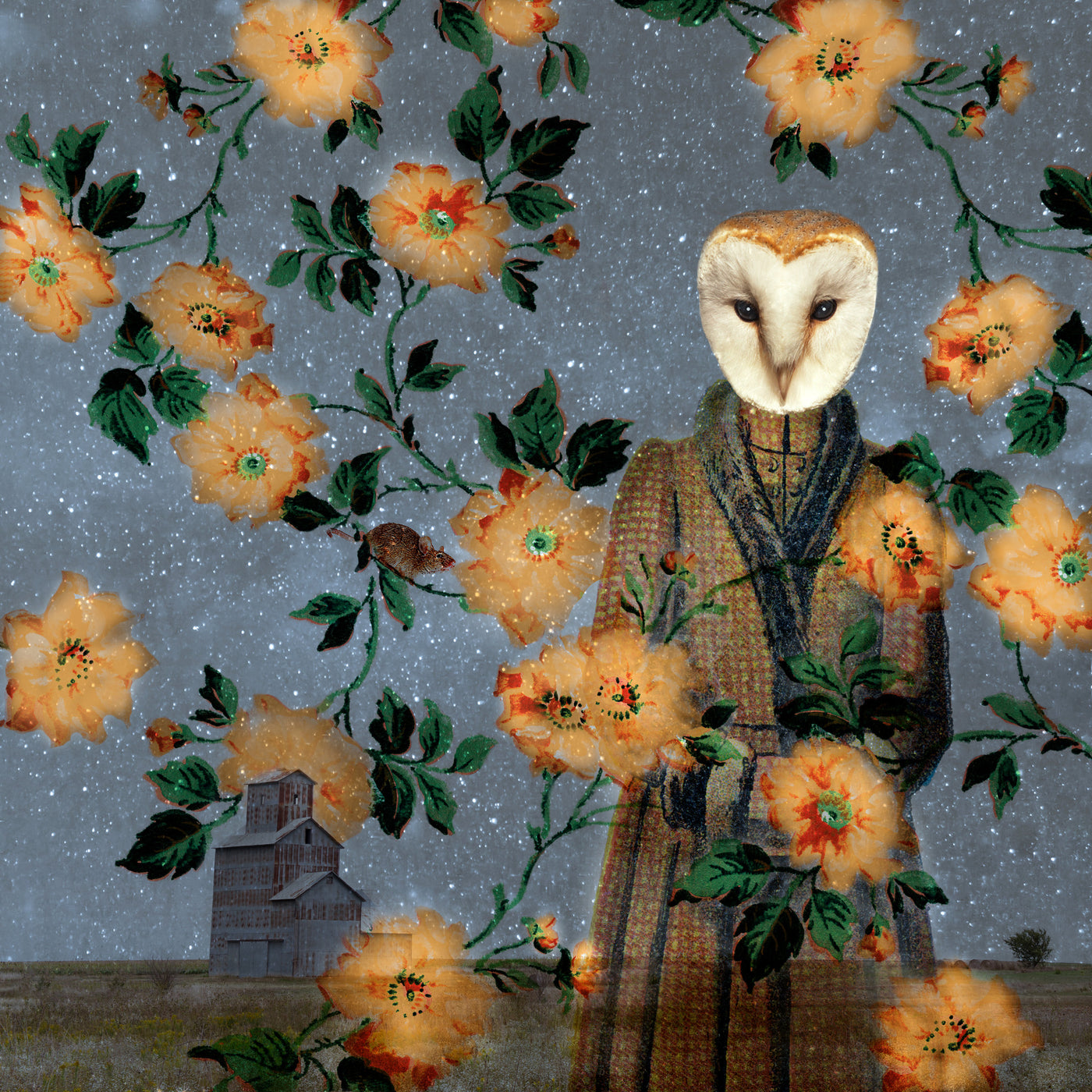 SavvyOwl