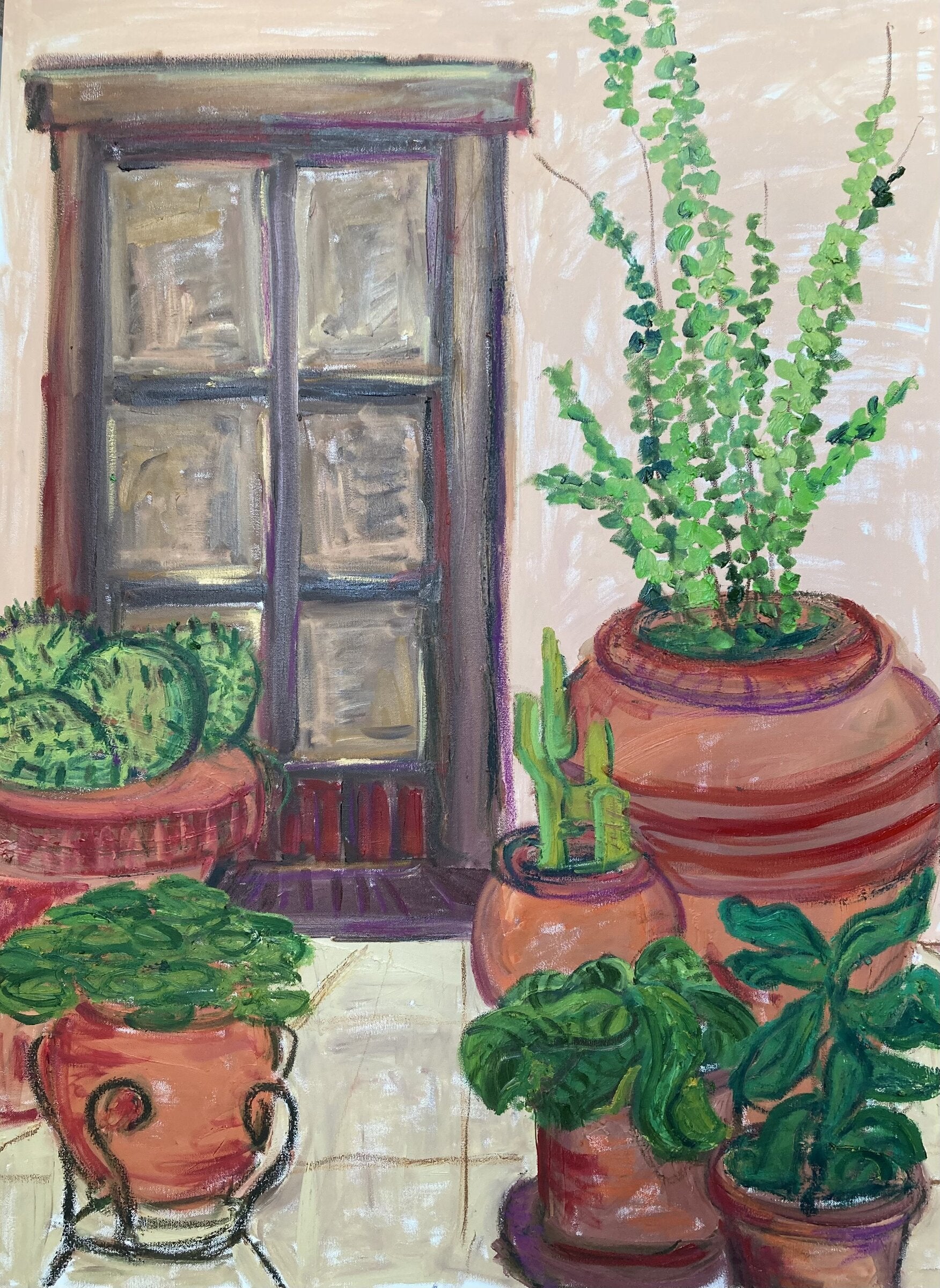 Plants and Doorway