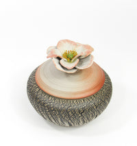 Anemone Blossom