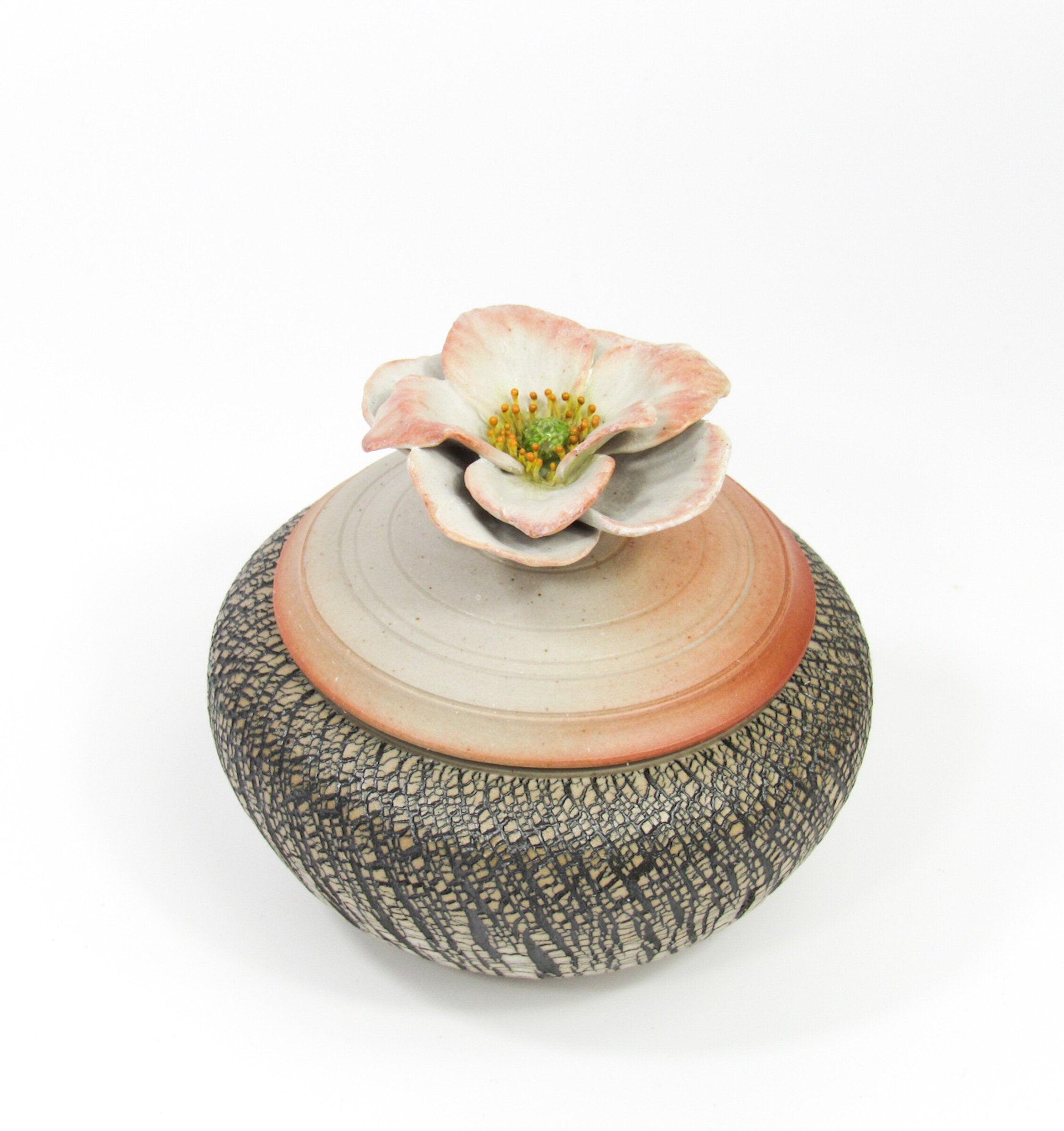 Anemone Blossom