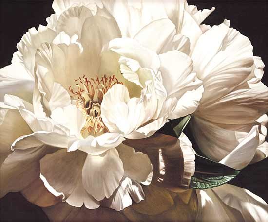 One White Peony