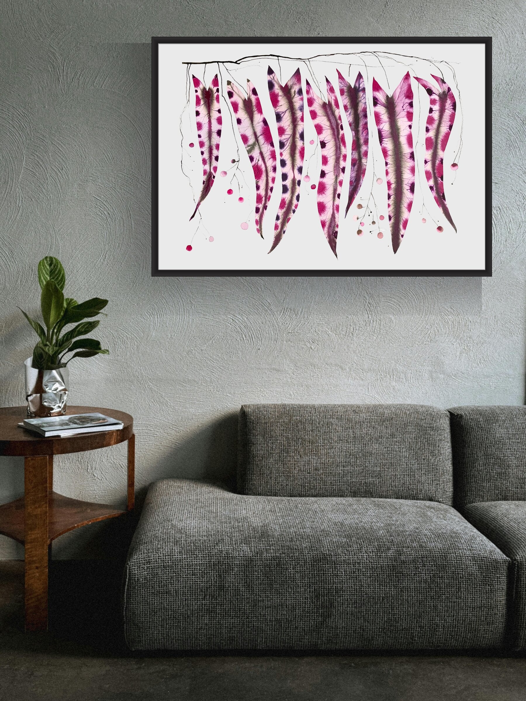 Aubergine Arrowhead Vine
