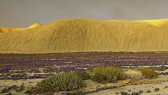Bentonite Hills