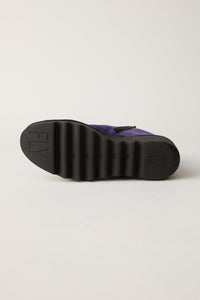 Aubergine