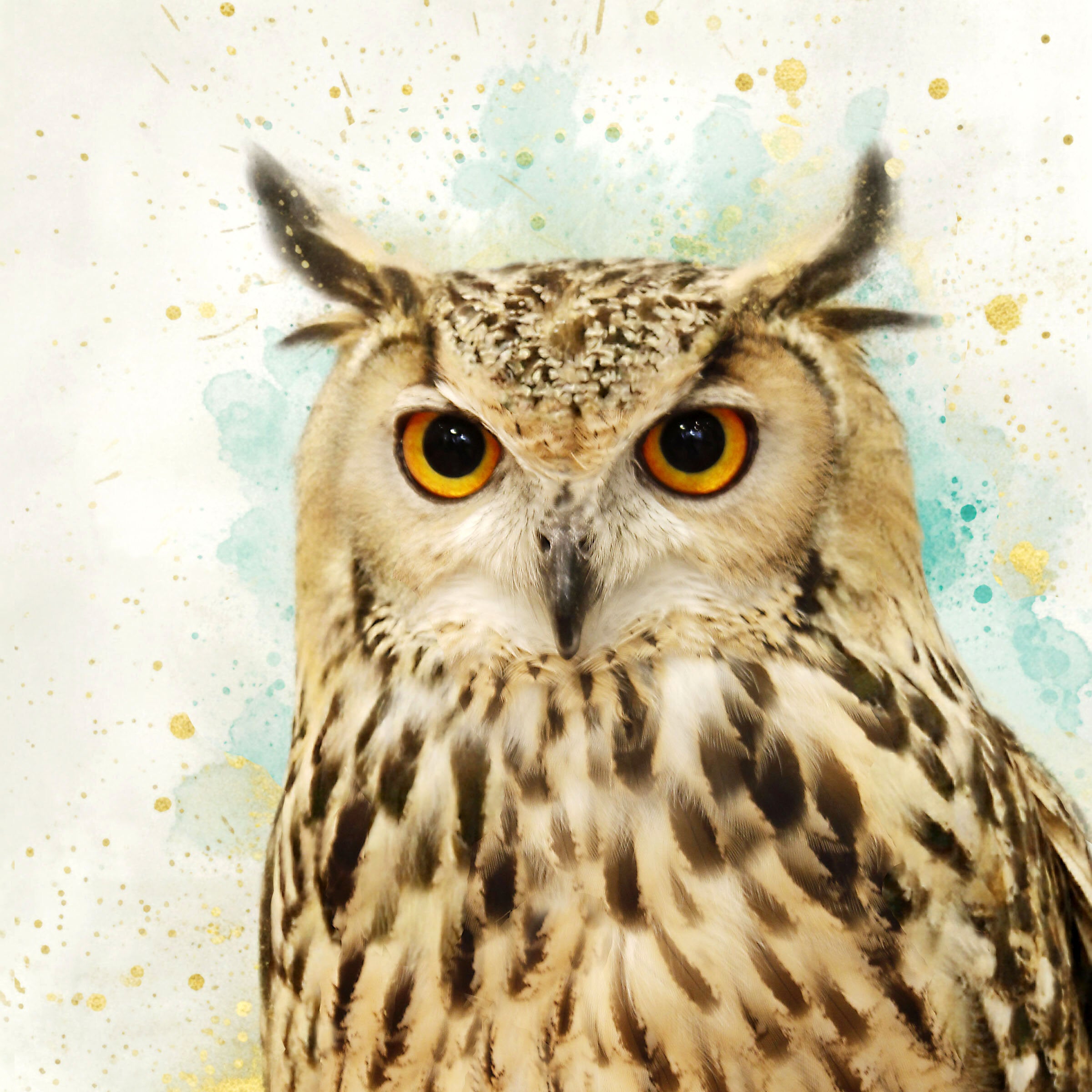 My Soul Soars